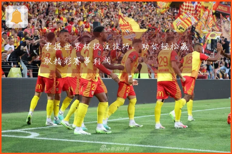 掌握世界杯投注技巧，助你轻松赢取精彩赛事利润