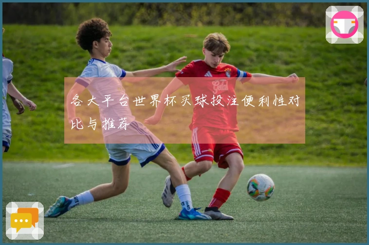 各大平台世界杯买球投注便利性对比与推荐