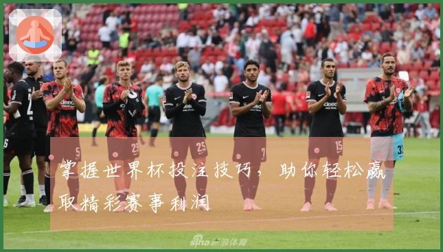 掌握世界杯投注技巧，助你轻松赢取精彩赛事利润