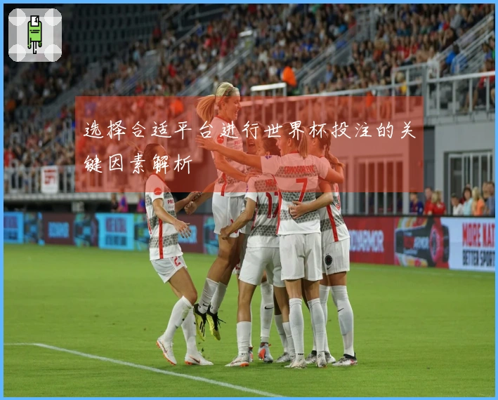 选择合适平台进行世界杯投注的关键因素解析
