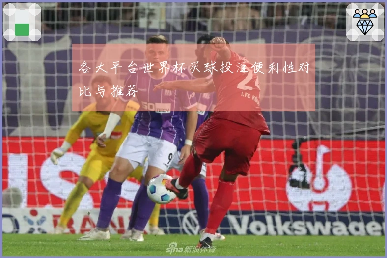 各大平台世界杯买球投注便利性对比与推荐