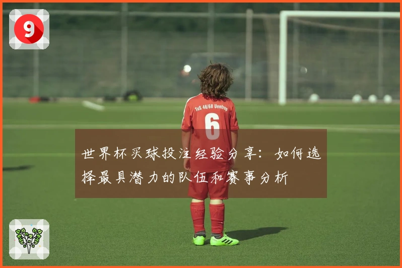 世界杯买球投注经验分享：如何选择最具潜力的队伍和赛事分析